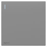 罗格朗开关插座 畅境  深砂银 一位单控带指示开关 一开单控 16AX