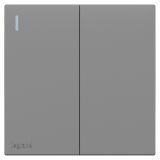 罗格朗开关插座 畅境  深砂银 二位单控带指示开关 二开单控 16AX