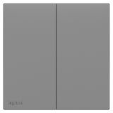 罗格朗开关插座 博骏  深砂银 二位单控开关 二开单控 16AX