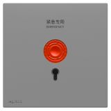 罗格朗开关插座 悦铂  深砂银 紧急呼叫开关
