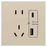 罗格朗开关插座 悦铂  粉铂金 带二三插Type A+C USB充电插座 Type A+C USB五孔插座 15W