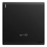 罗格朗开关插座 仕艺 石墨黑 门禁带荧光开关