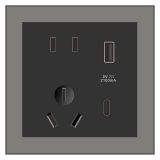 尊宝酒店客控 带USB（A+C)充电二三插