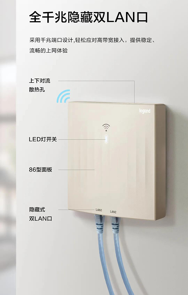 双LAN口