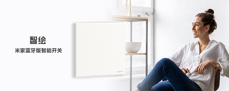 智绘 IOT米家版